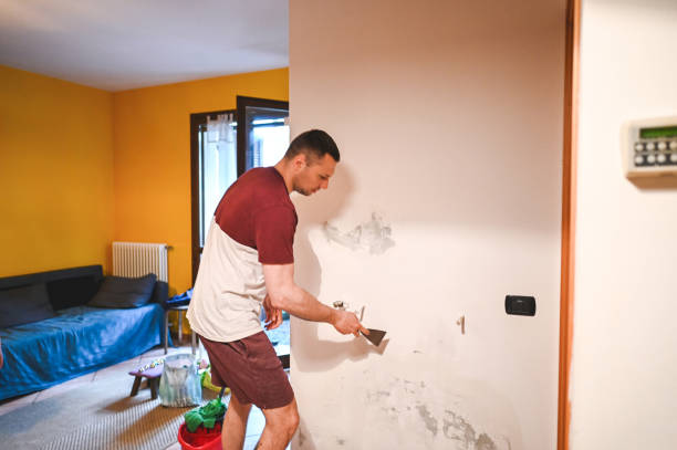 Best Mold Cleaning Services  in Clermont, FL